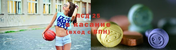 гашик Инта