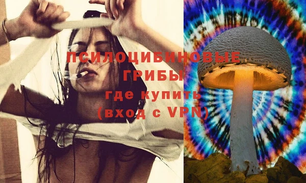 ешки Алексеевка