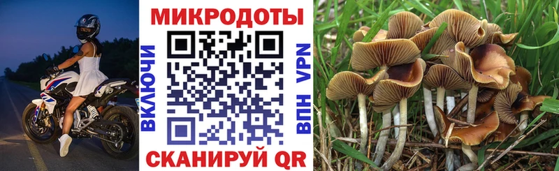 Псилоцибиновые грибы прущие грибы  мега ССЫЛКА  Новороссийск 
